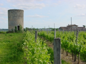 la-tour-mont-d-or-montagne.jpg