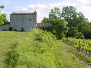 le-fayan-puisseguin.jpg