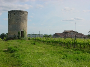 tour-mont-d-or.jpg